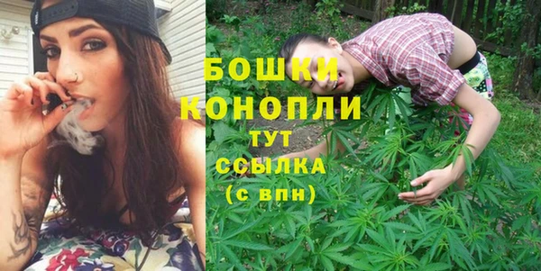 гашик Дмитровск
