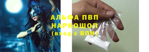 стафф Дмитриев