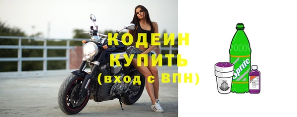стафф Дмитриев
