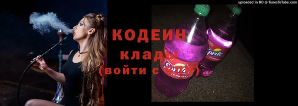 гашик Дмитровск