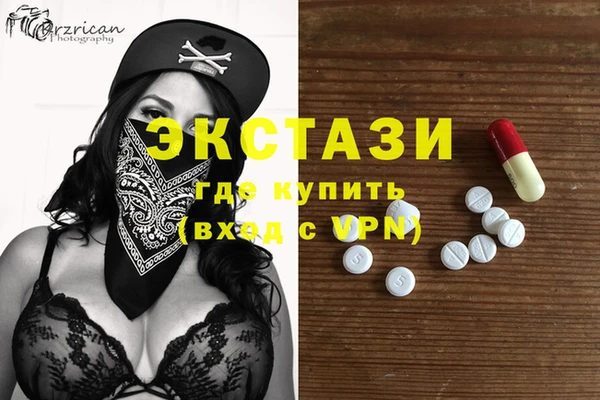 гашик Дмитровск