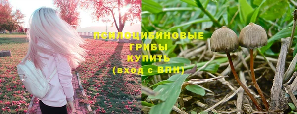 спиды Дмитров