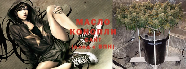 гашик Дмитровск