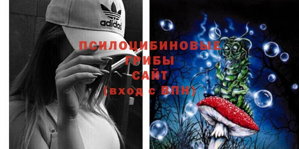 гашик Дмитровск