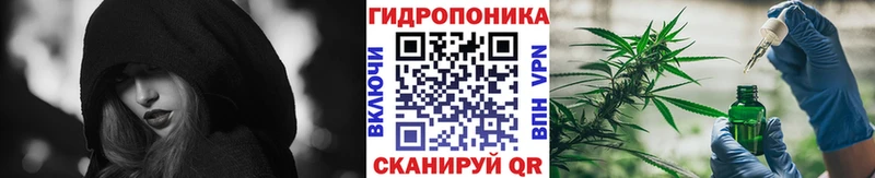 хочу   Емва  Бошки марихуана планчик 